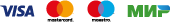 ICON-PAY1